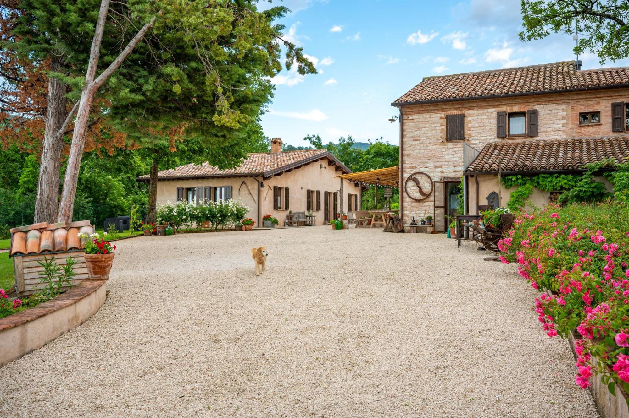 Agriturismo Il Castellaro Sassoferrato Zewnętrze zdjęcie