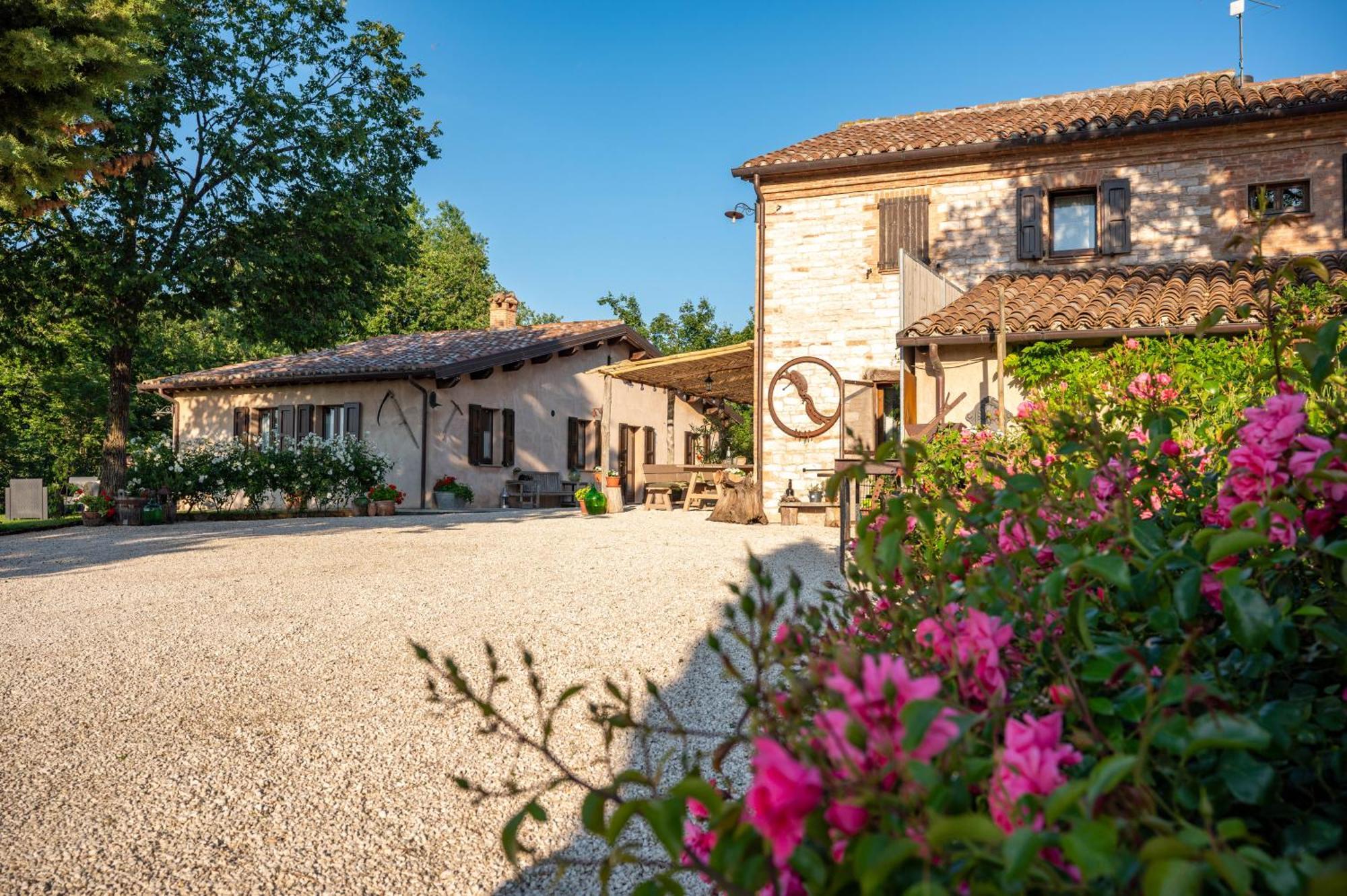 Agriturismo Il Castellaro Sassoferrato Zewnętrze zdjęcie